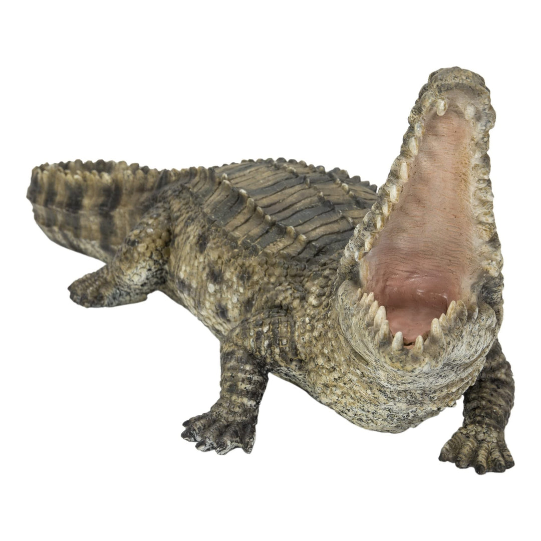 Crocodile with Mouth Open Up Ultra Realistic Garden Statue Multi Color Polyresin - Diamond Home USA