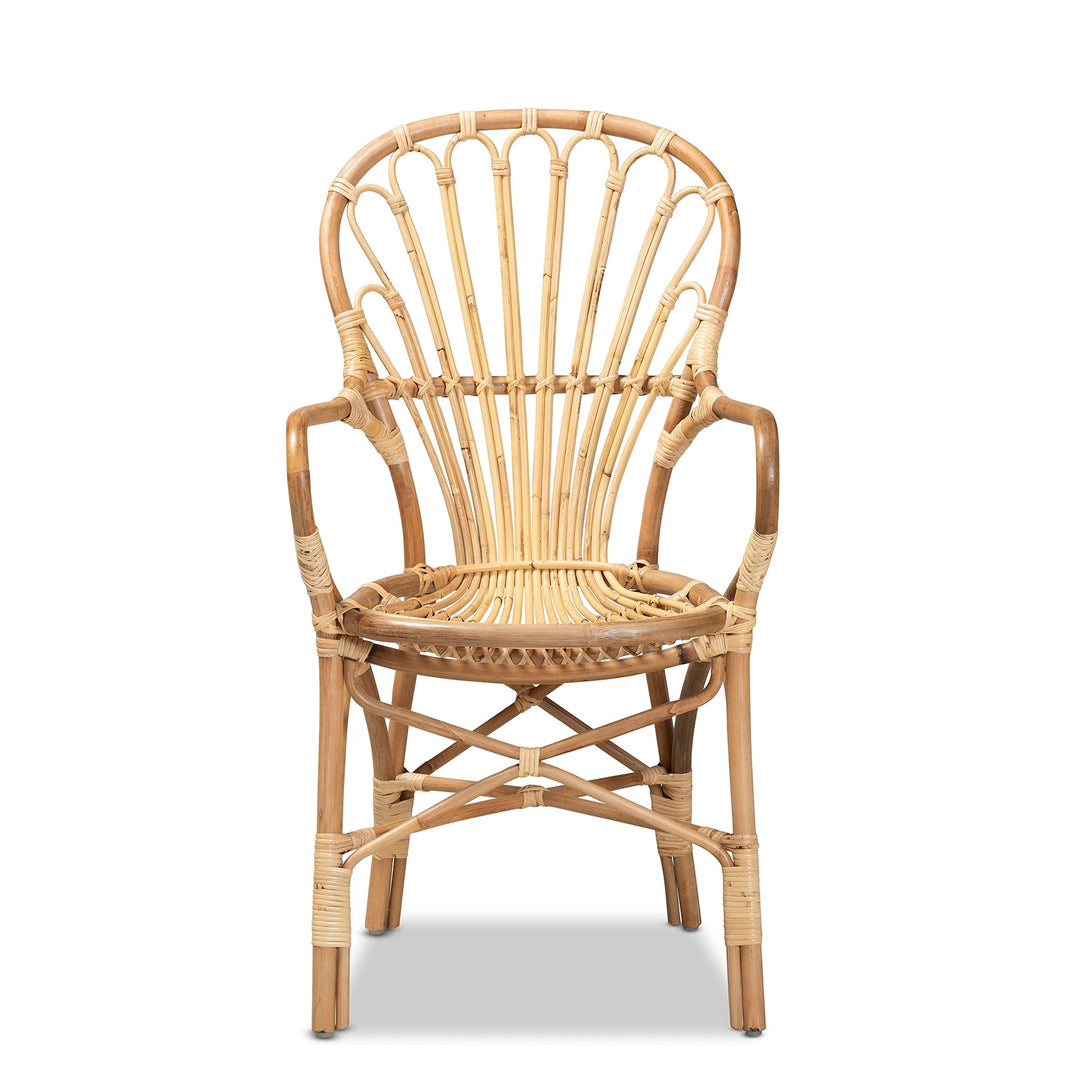 Modern and Contemporary Natural Finished Rattan Armchair Finish - Diamond Home USA