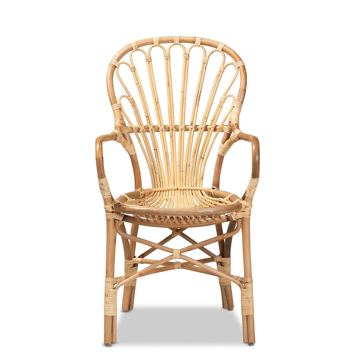 Modern and Contemporary Natural Finished Rattan Armchair Finish - Diamond Home USA