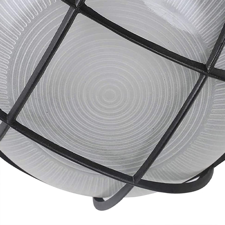 AA Warehousing 10 in. 1-Light LED Flush Mount Ceiling Light in Black Finish with - Diamond Home USA