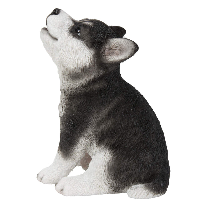Howling Husky Puppy Statue Multi Color Polyresin Multicolor Medium - Diamond Home USA