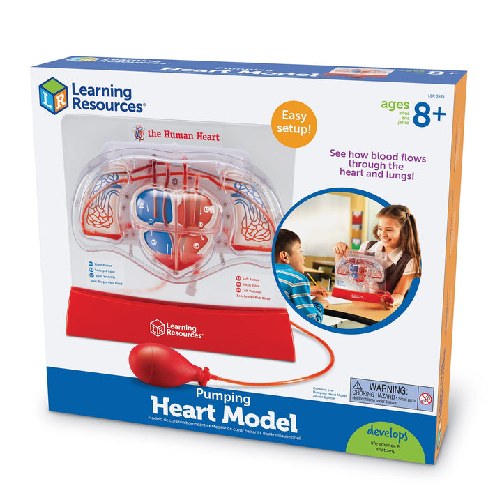 Learning Resources Pumping Heart Model - 1 Piece Grades 3+|Ages 8+ Educational - Diamond Home USA