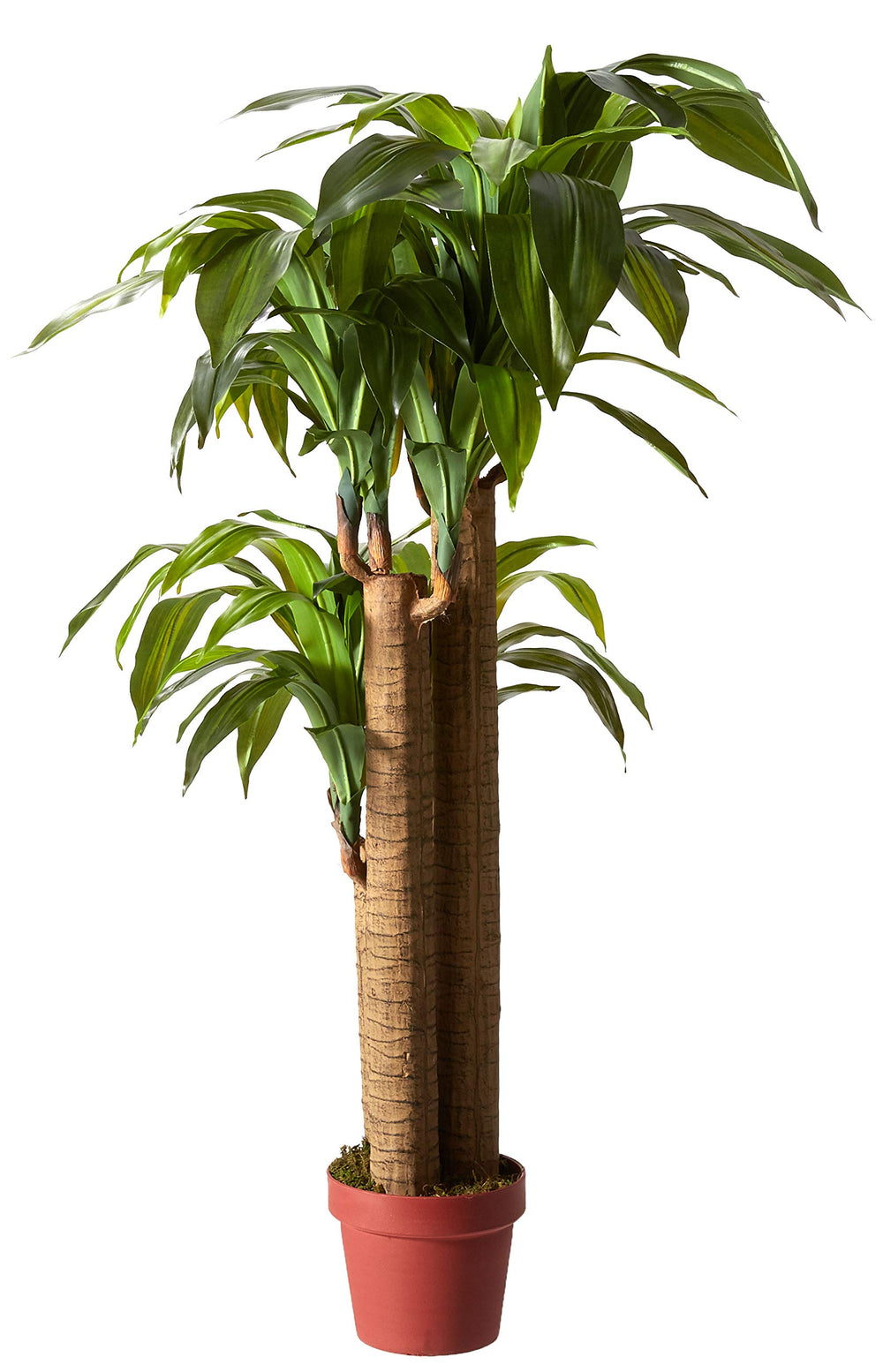 Nearly Natural 4. Corn Stalk Dracaena Silk (Real Touch) Artificial Plant 4 - Diamond Home USA