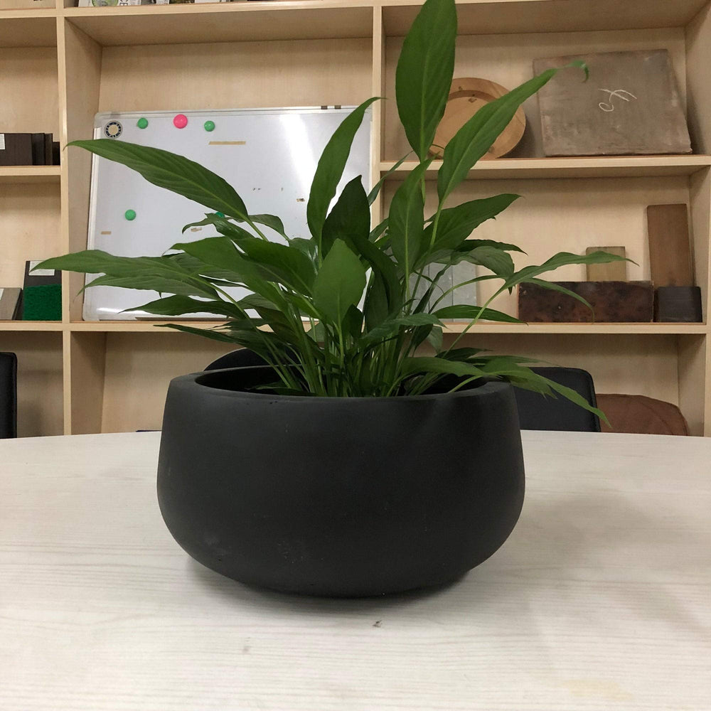 Lightweight Concrete Modern Low Bowl Cement Planter-Small 11.8'x11.8'x5.9' - Diamond Home USA