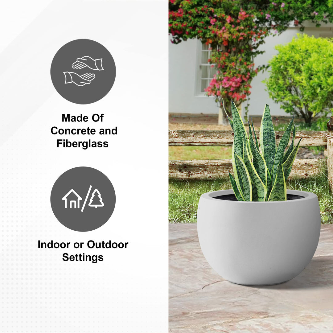 PLANTARA Round Concrete/Fiberglass Indoor & Outdoor Lightweight Decorative Plant - Diamond Home USA