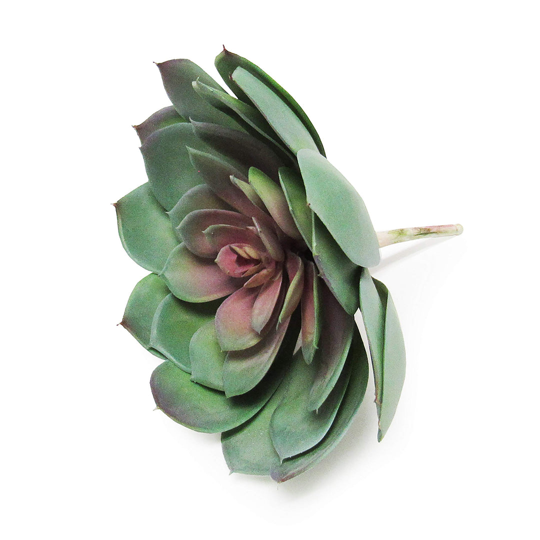 Giant Lotus Succulent Stem Greenery Pick Green Red 8.5in 6.5" H X 8.5" D - Diamond Home USA