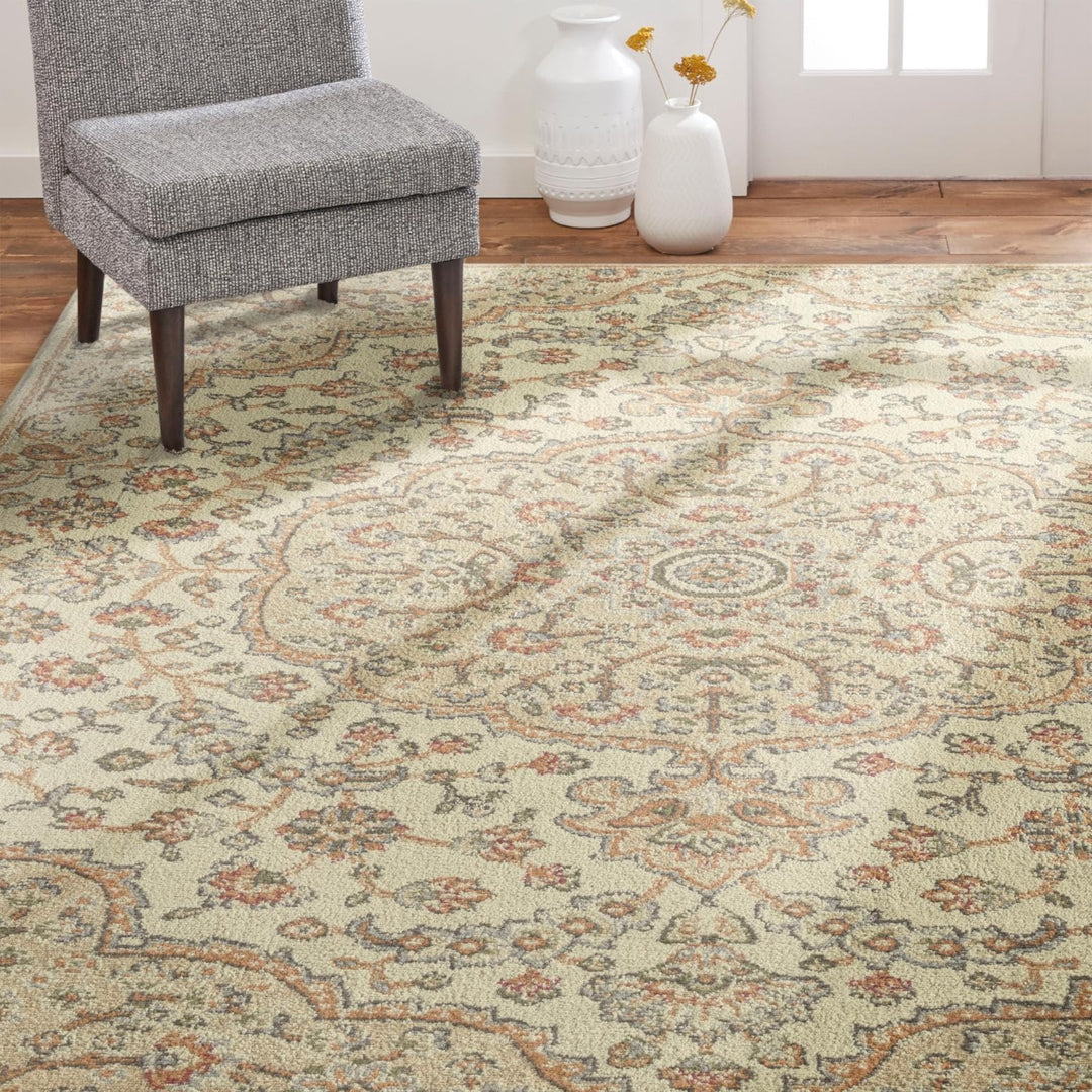 Home Dynamix Royalty Medallion Traditional Area Rug