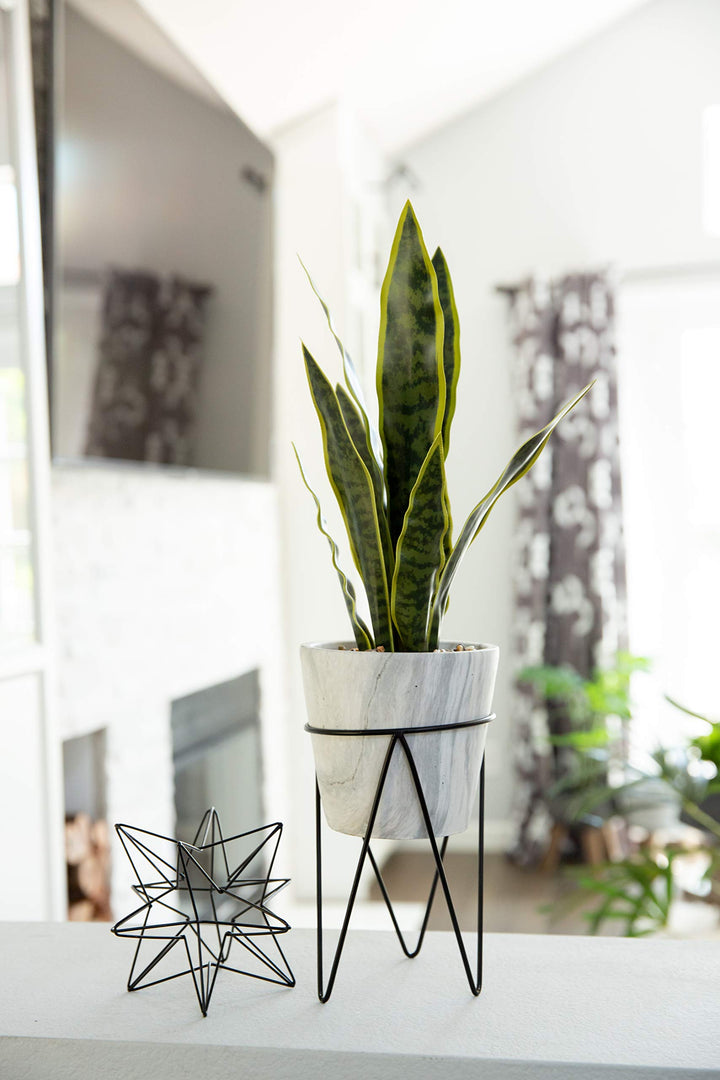 Flora Bunda Artificial Plant 1.75 feet Tall Snake Plant in 8 inch Marble - Diamond Home USA