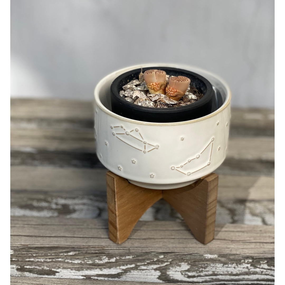 Flora Bunda 4 Inch Constellation Ceramic Pot on Wood Stand Mid Century Glass Blue - Diamond Home USA