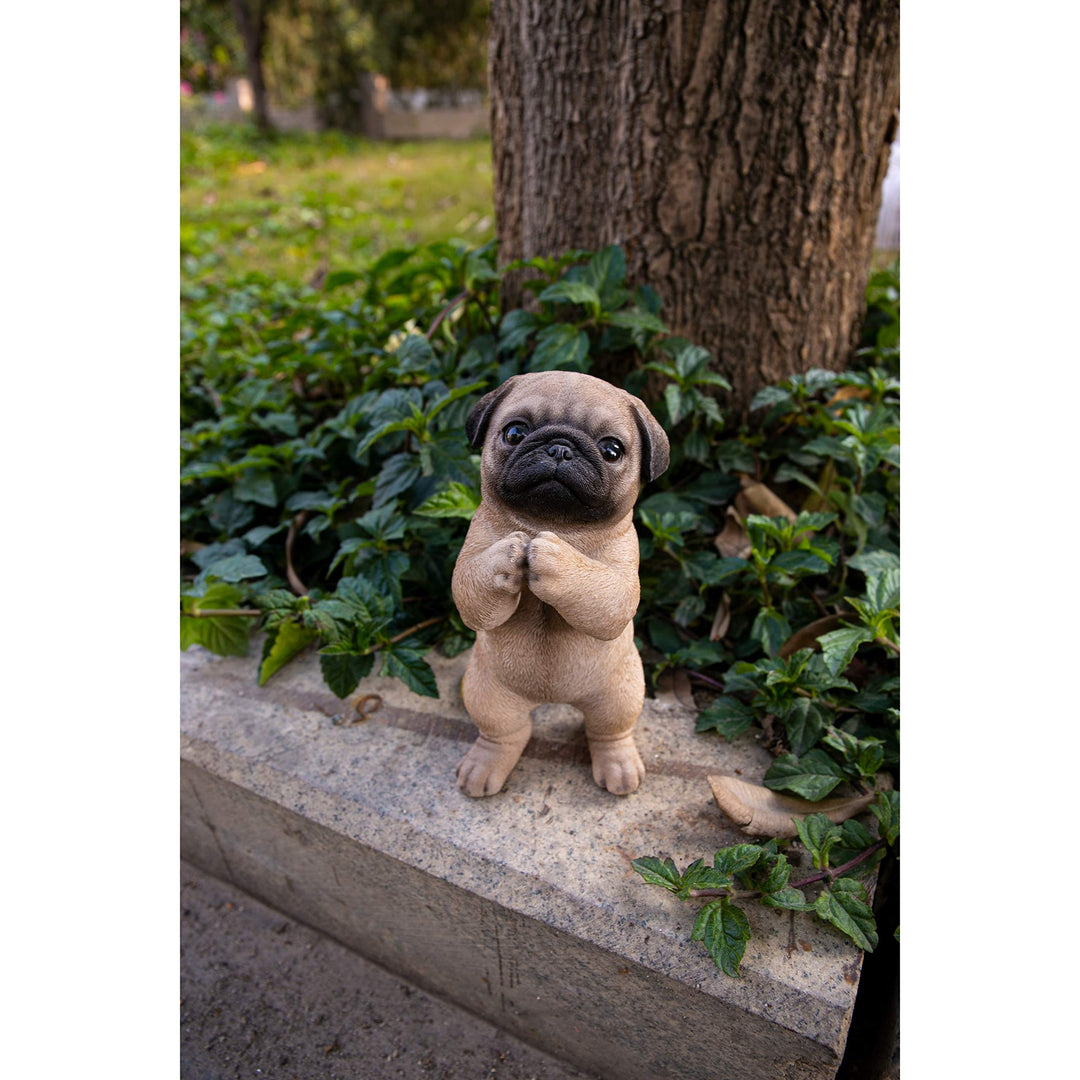 Praying Pug Puppy Statue Brown Polyresin