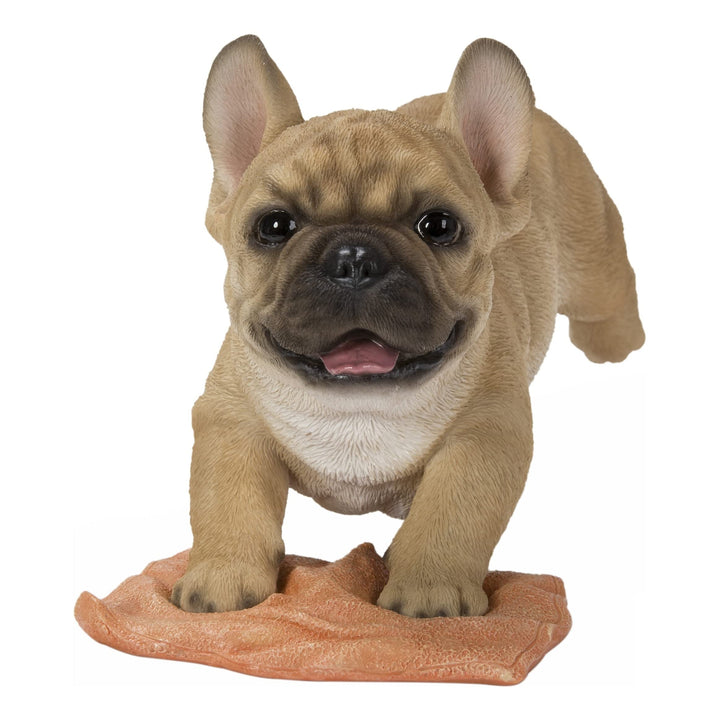 French Bulldog Mopping The Floor Ultra Realistic Garden Statue Multi Color