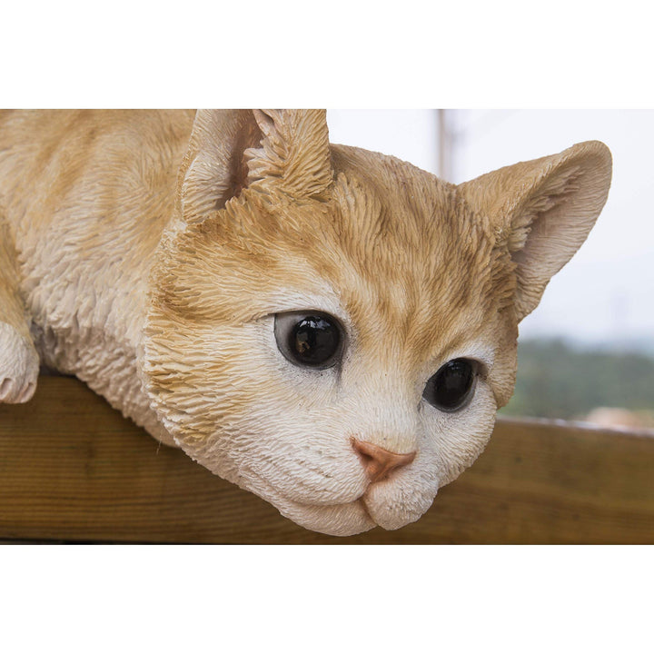 Cat Looking Over Ledge - Orange Tabby Polyresin - Diamond Home USA