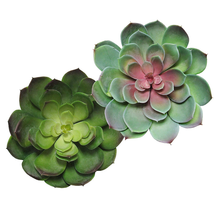 Giant Lotus Succulent Stem Greenery Pick Green Red 8.5in 6.5" H X 8.5" D - Diamond Home USA