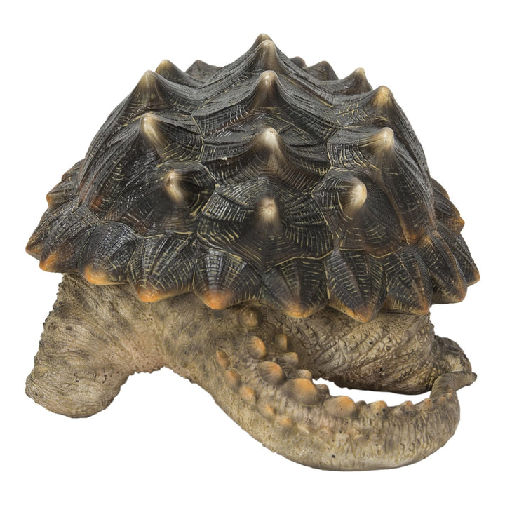 Snapping Turtle Statue Multi Color Polyresin Medium - Diamond Home USA