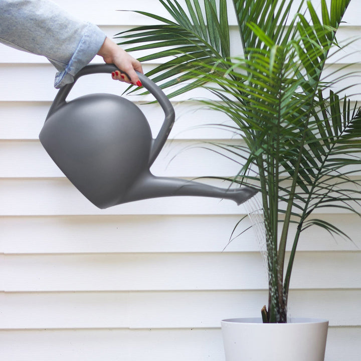 Rhino Watering Can: 2 Gallon Capacity Charcoal Recycled Plastic Can Easy Water - Diamond Home USA