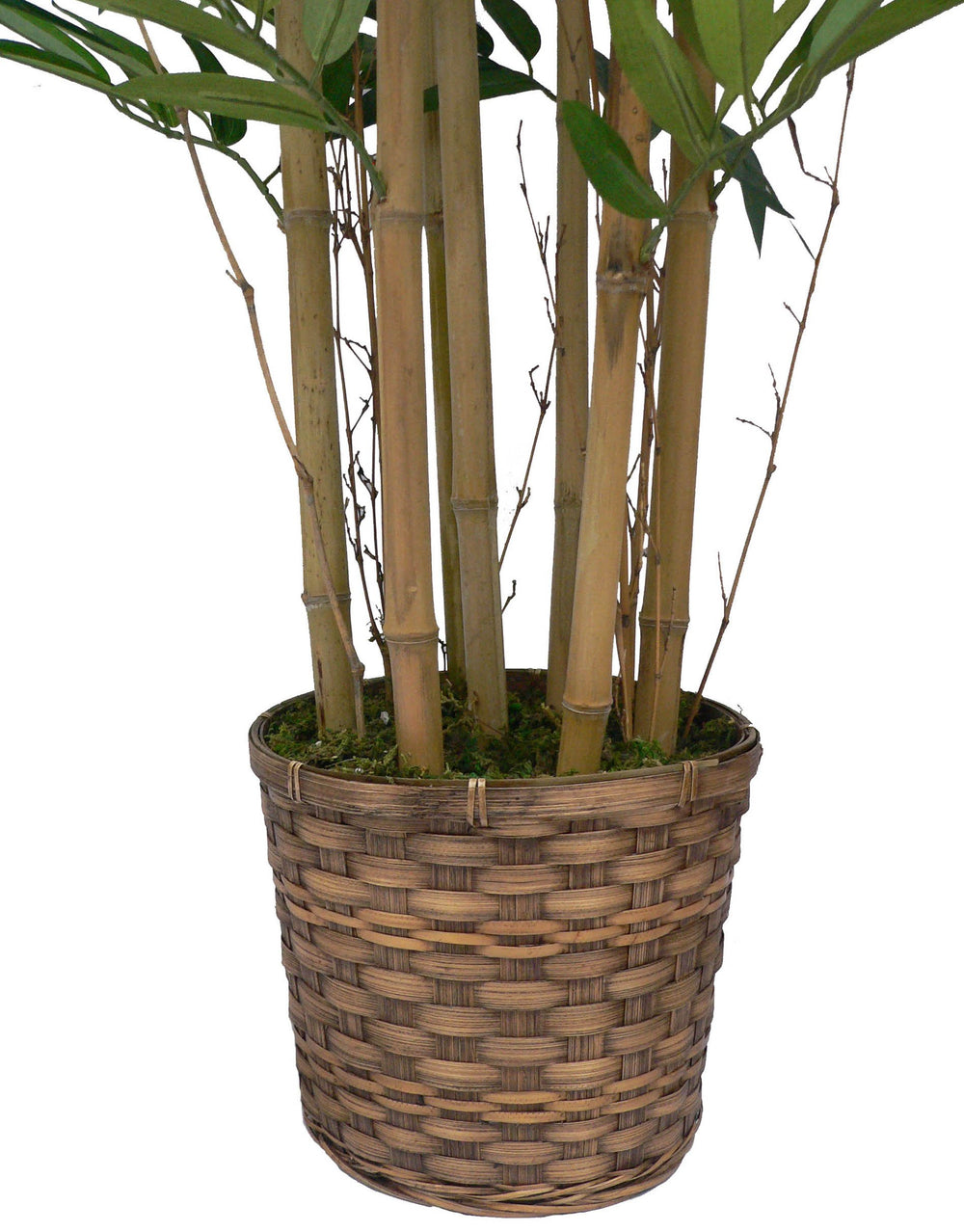 Vintage Home Artificial Faux Plastic 72" Tall Bamboo Tree in Bamboo Wicker Single - Diamond Home USA