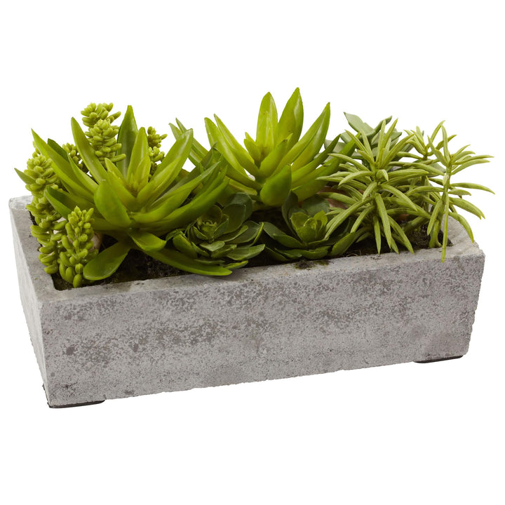 Nearly Natural Home Indoor Decorative Tabletop Succulent Garden with Concrete - Diamond Home USA