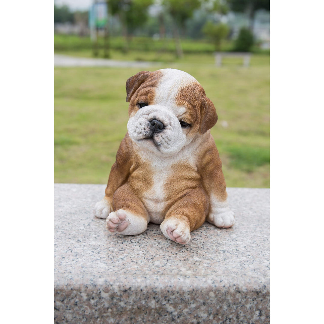 Sitting Sleepy Bulldog Puppy Statue Polyresin