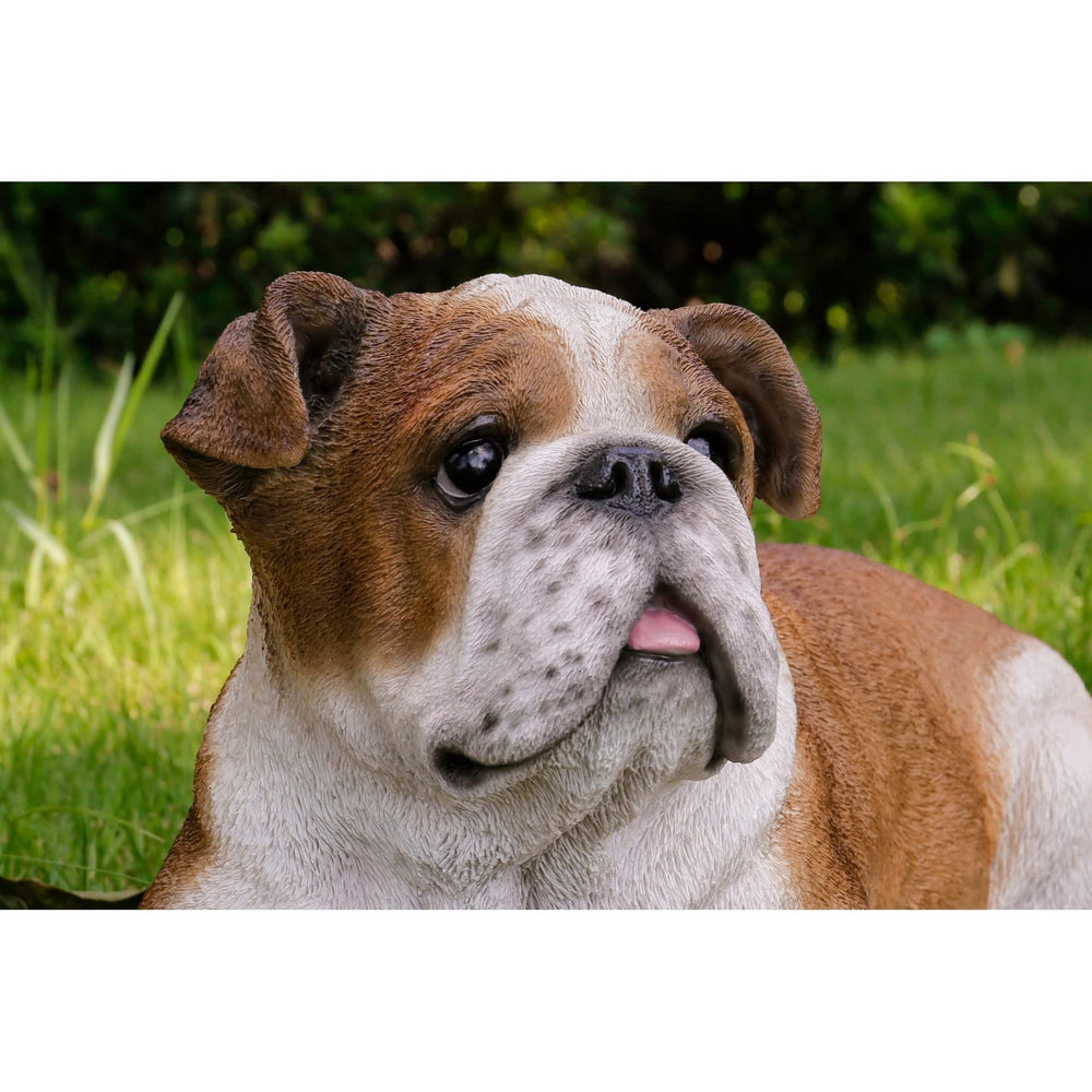 Lying Bulldog Ultra Realistic Garden Statue Multi Color Polyresin - Diamond Home USA