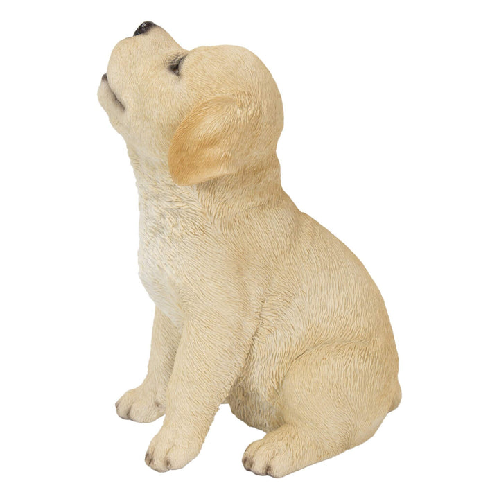 Howling Labrador Puppy Statue Yellow Polyresin - Diamond Home USA