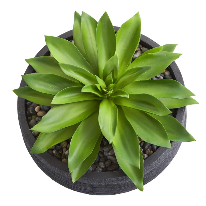 Large Succulent Artificial Plant in Decorative Bowl - Diamond Home USA