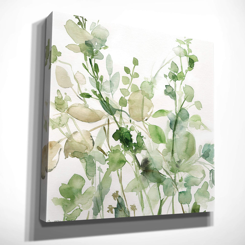 Wexford Home Sage Garden II-Canvas Prints Wrapped Gallery Wall Art|Stretched and 24x24 - Diamond Home USA