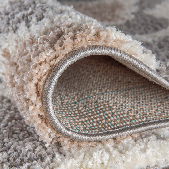 Porch & Den Touro Trellis Shag Area Rug