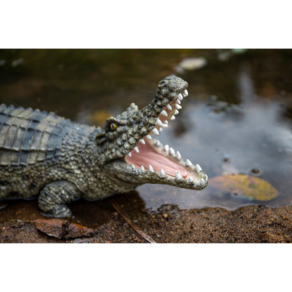 Crocodile with Mouth Open Up Ultra Realistic Garden Statue Multi Color Polyresin - Diamond Home USA