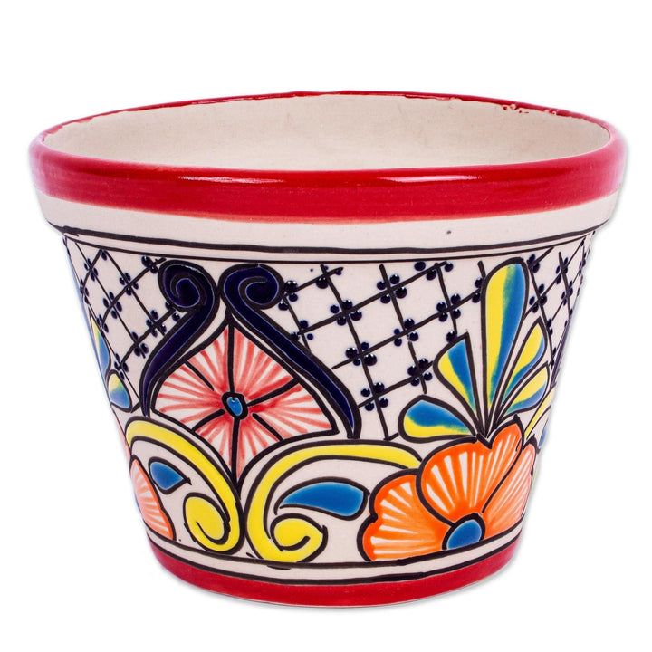 Handmade Colorful Ceramic Flower Pot (5.5 Inch Diameter) Multi Color Modern
