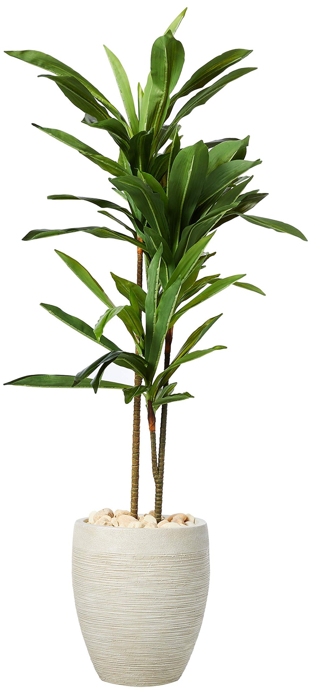 Nearly Natural 4ft. Dracaena Artificial Plant in Sand Colored Planter (Real - Diamond Home USA