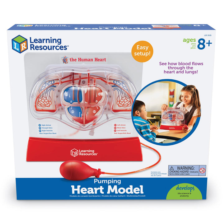 Learning Resources Pumping Heart Model - 1 Piece Grades 3+|Ages 8+ Educational - Diamond Home USA