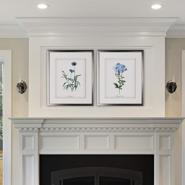 Wexford Home Laurier Rose-2 Piece Set-Silver Frame Art Print 16x20 Imperial Blue - Diamond Home USA