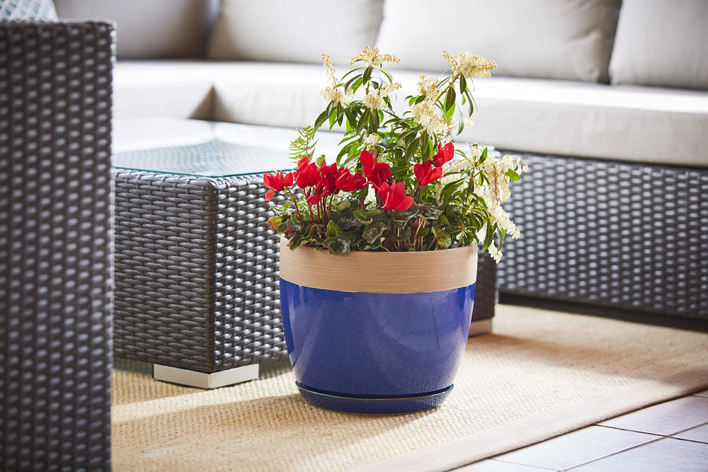 Southern Patio Ana Ceramic Indoor Pot Planter - Diamond Home USA