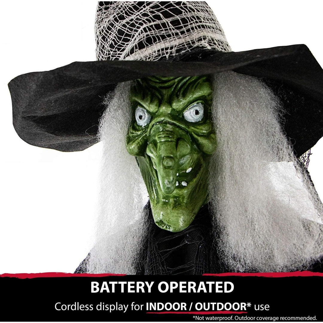 Life-Size Animated Wicked Witch Prop W/Led Crystal Ball for Indoor Or Outdoor - Diamond Home USA