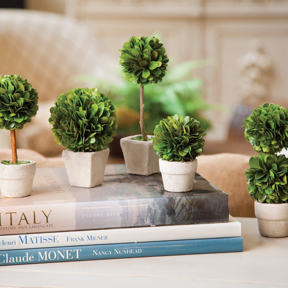Boxwood Mini Topiaries in Pots Set of 5 Green - Diamond Home USA