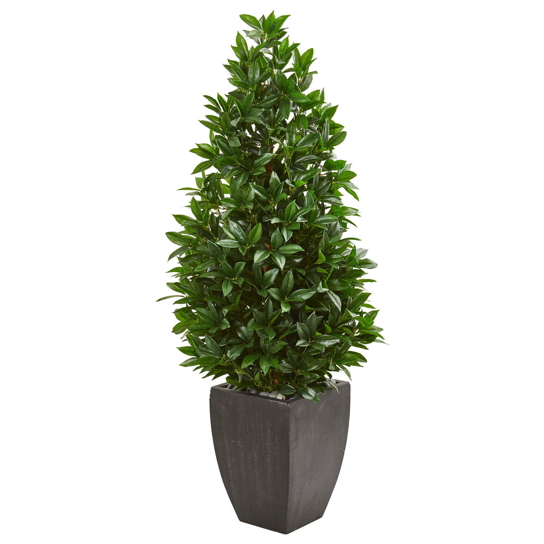Nearly Natural 56in. Bay Leaf Cone Topiary Artificial Tree UV Resistant in Black