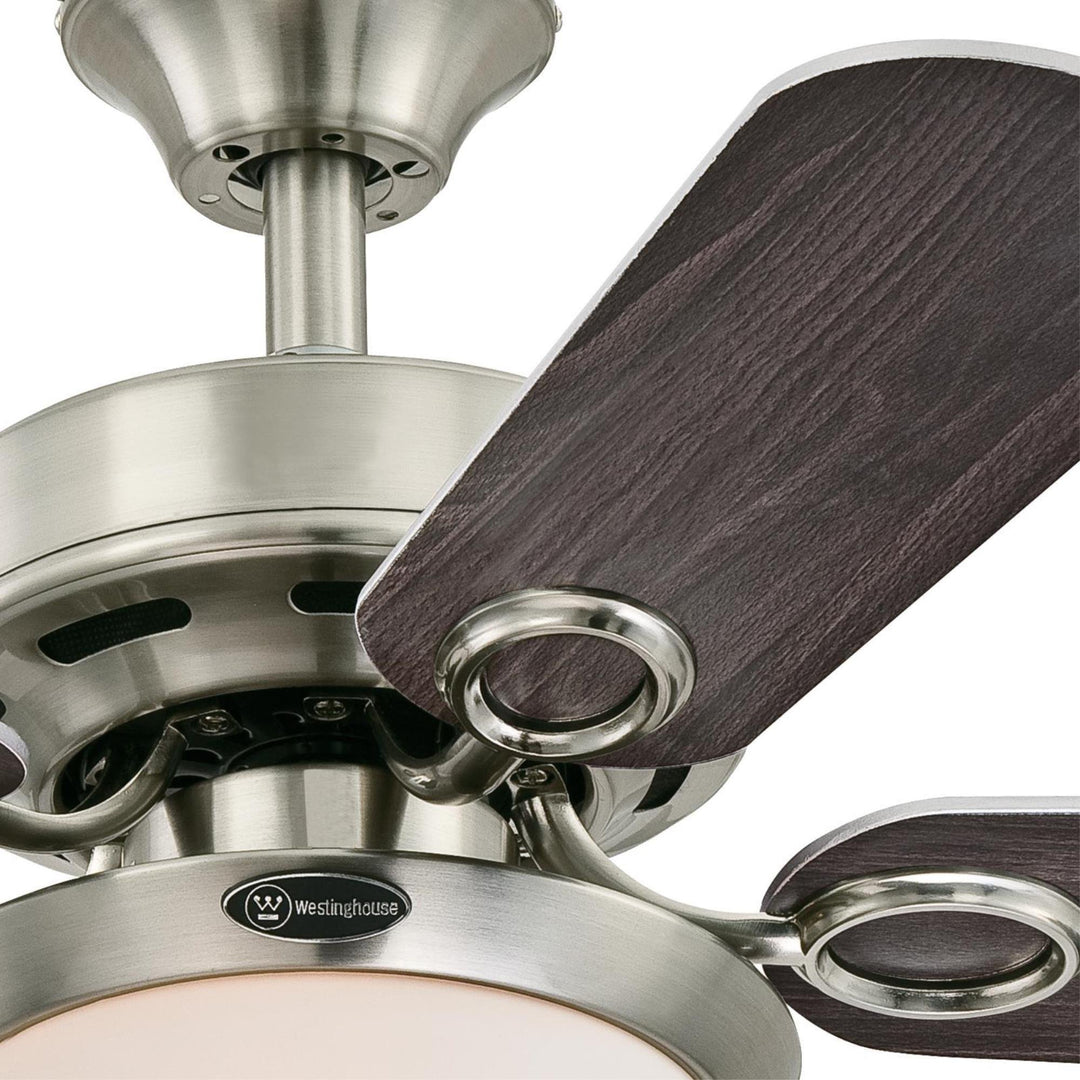 Westinghouse 7230300 Cassidy Indoor Ceiling Fan with Light 36 Inch Brushed - Diamond Home USA