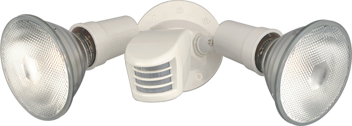 Satco SF76/502 Two Light Outdoor Heavy Duty Cast Aluminum Durable Weather