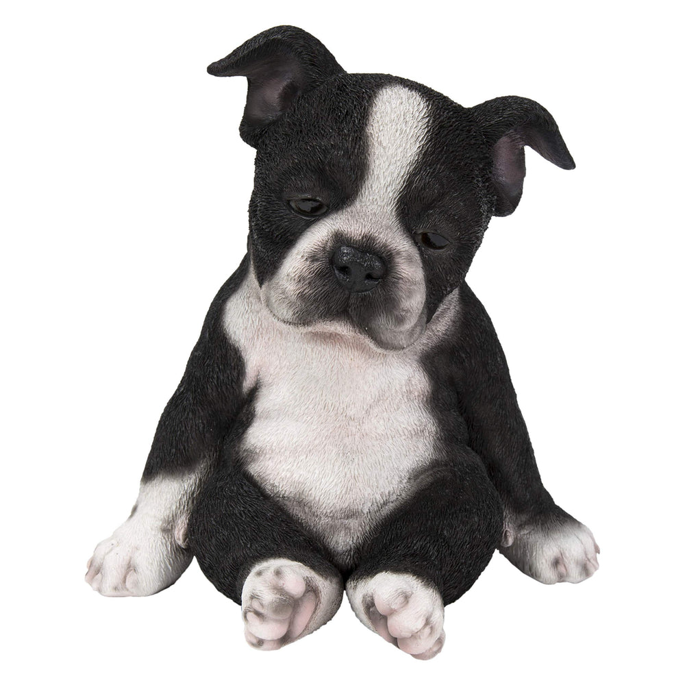 Sitting Sleepy Boston Terrier Puppy Statue Multi Color Polyresin Multicolor - Diamond Home USA