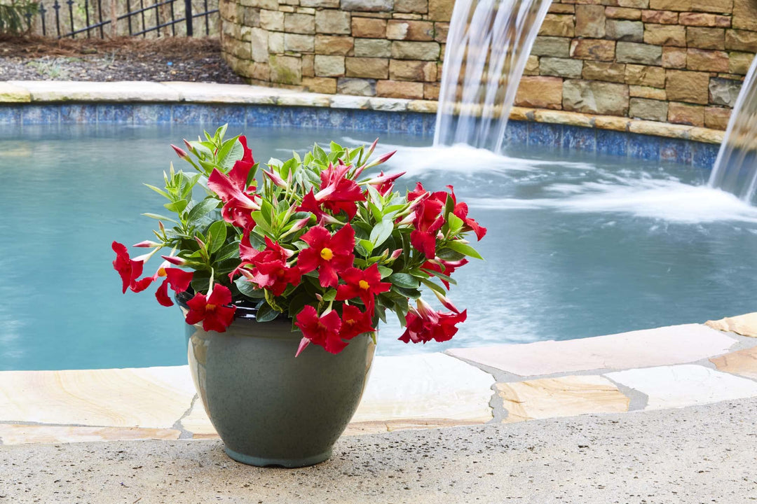 Southern Patio Heritage Outdoor Resin Planter with Drainage Hole and Plug - Diamond Home USA