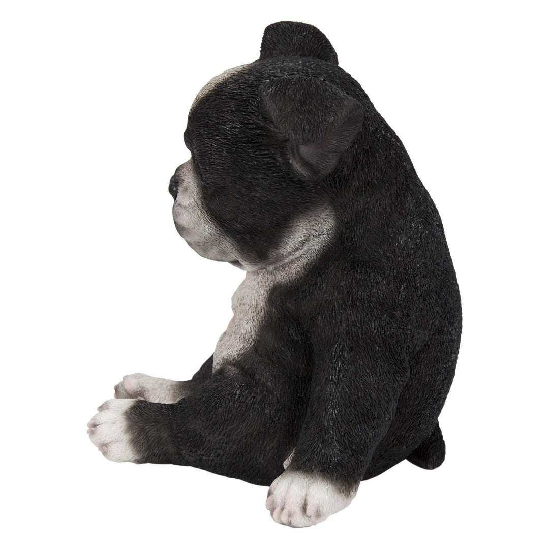 Sitting Sleepy Boston Terrier Puppy Statue Multi Color Polyresin Multicolor - Diamond Home USA