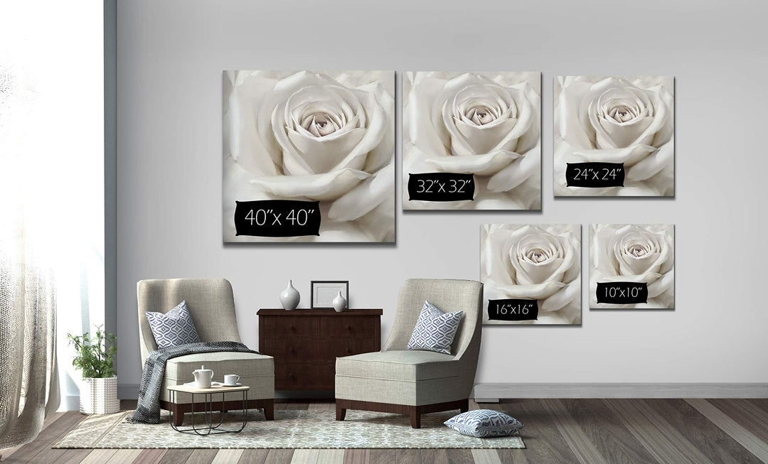 Wexford Home Dreamy II Gallery Wrapped Canvas Wall Art 32x32 - Diamond Home USA