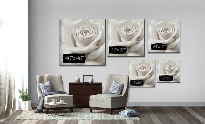 Wexford Home Dreamy II Gallery Wrapped Canvas Wall Art 32x32 - Diamond Home USA