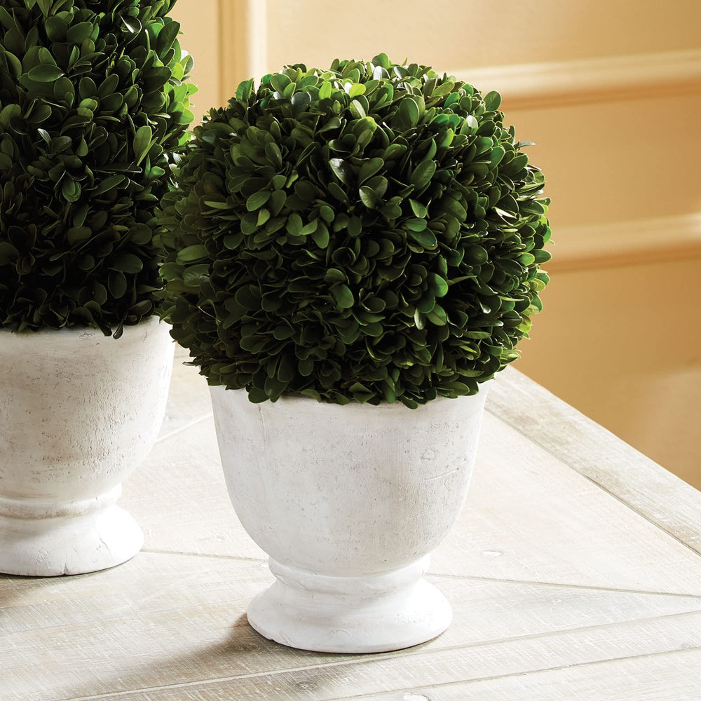 Boxwood Ball Topiary in Pot Large Green - Diamond Home USA