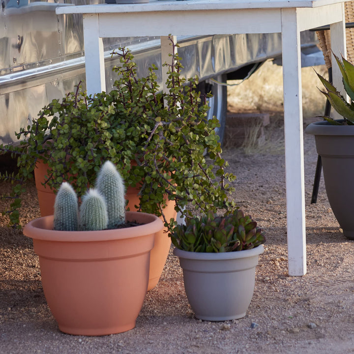 Bloem Ariana Planter with Grid - Diamond Home USA