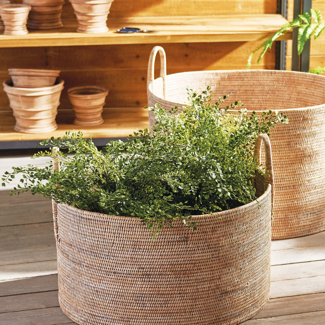 Maiden Hair Fern Drop-In Flowering Plant 23-Inch - Diamond Home USA