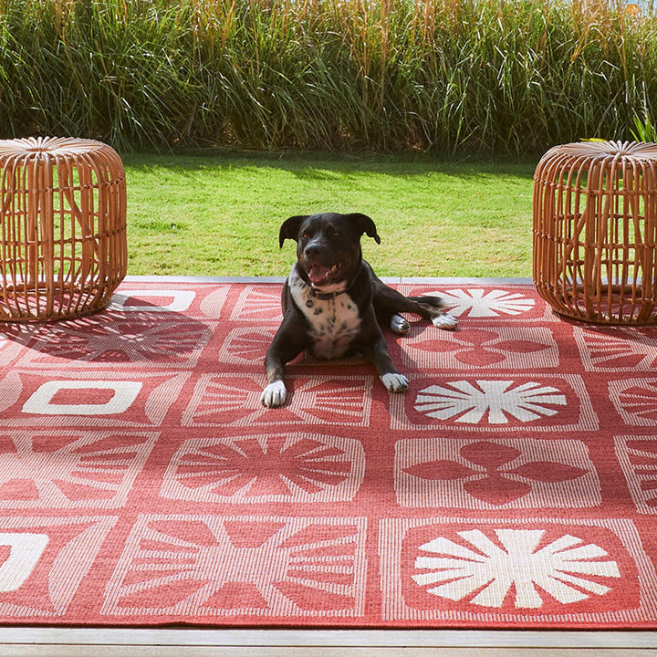 Gertmenian Reyn Spooner Kona Coast Fresco Hawaiian Tropical Rugs|Washable 7'10" x 10' - Oahu - Diamond Home USA