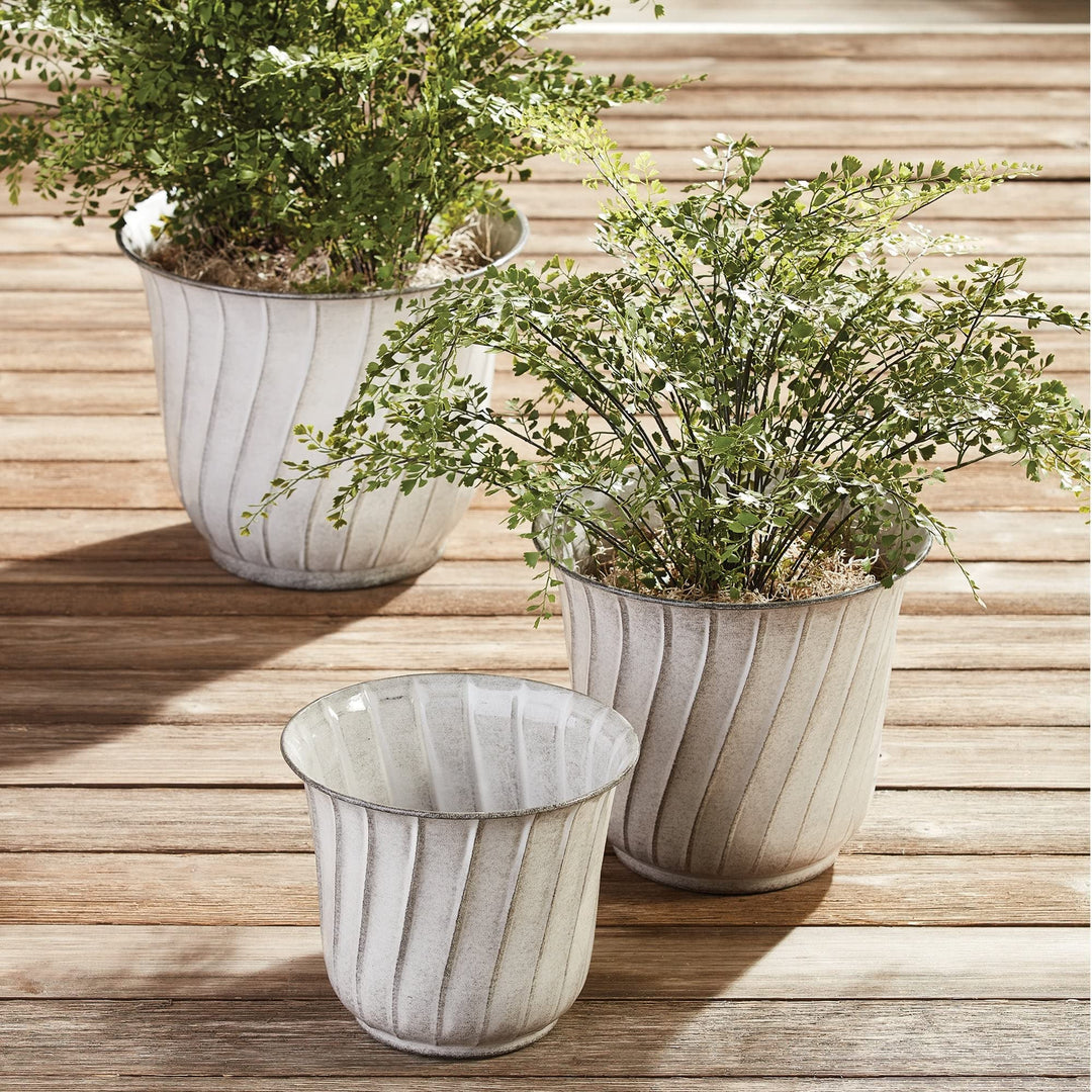 Maiden Hair Fern Drop-In Flowering Plant 23-Inch - Diamond Home USA