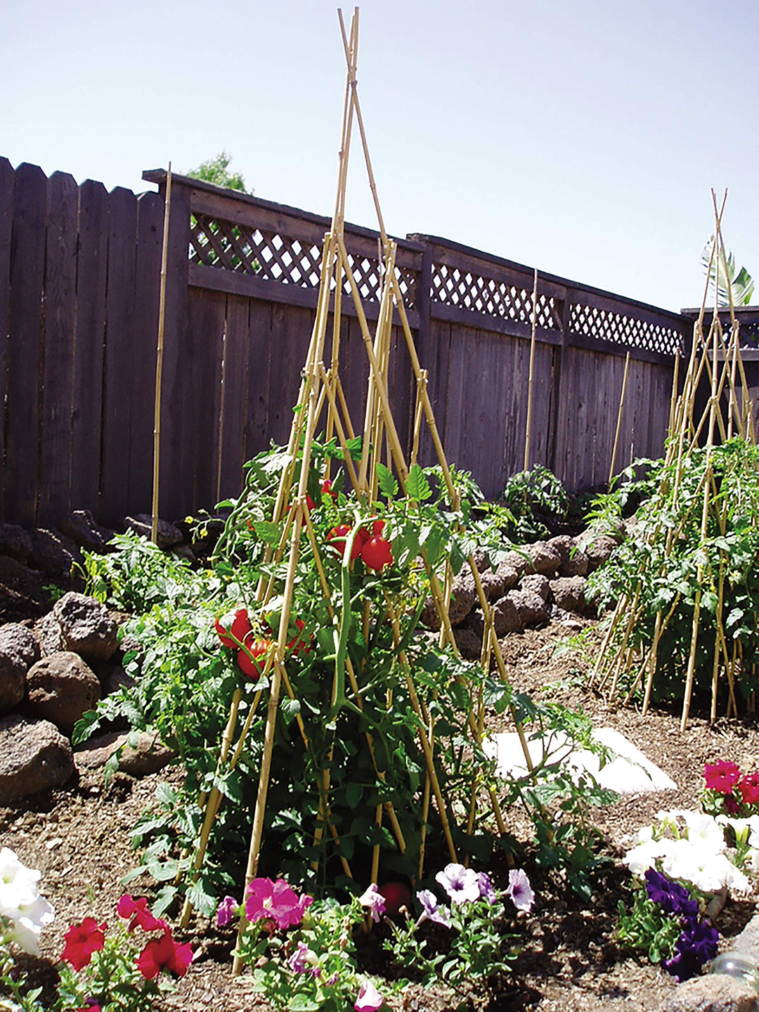 Bond Manufacturing TP48 46in Bamboo Teepee Trellis Natural - Diamond Home USA