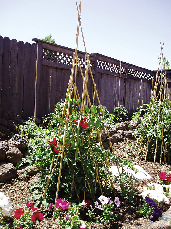 Bond Manufacturing TP48 46in Bamboo Teepee Trellis Natural - Diamond Home USA